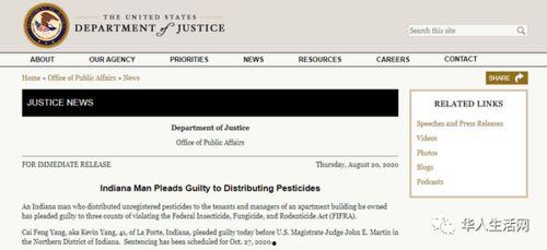 国产华人在线,探索中国互联网文化新篇章